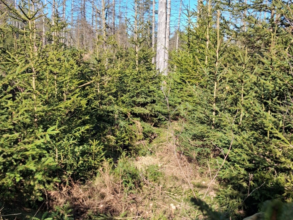 Vorderer B&ouml;ser Graben