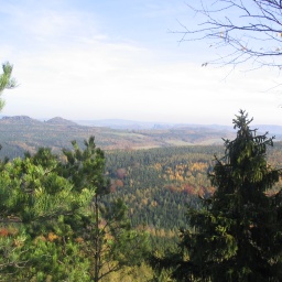 Lausitzer Schlange