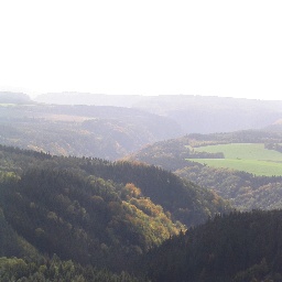 Der Saarschlesische