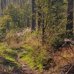 Ganz verborgen